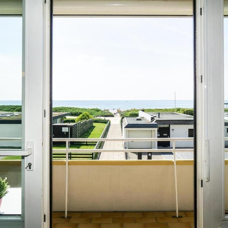 Ferielejlighed - 6 personer -  - Stranddistelweg - 23769 - Fehmarn