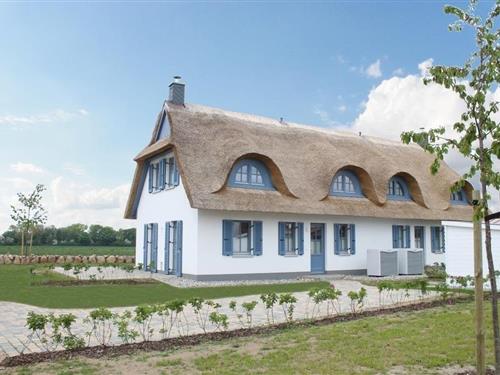 Ferienhaus - 6 Personen -  - De Poeler Drift - 23968 - Zierow
