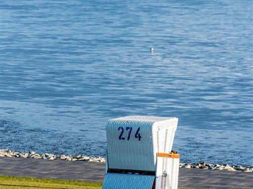 Ferieleilighet - 3 personer -  - Cappel-Neufelder Sieltrift - 27637 - Wurster Nordseeküste