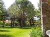 Bilde 6