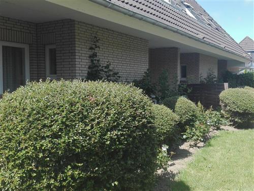 Ferieleilighet - 2 personer -  - Büsum - 25761