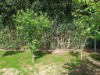 Bild 16 - Ude