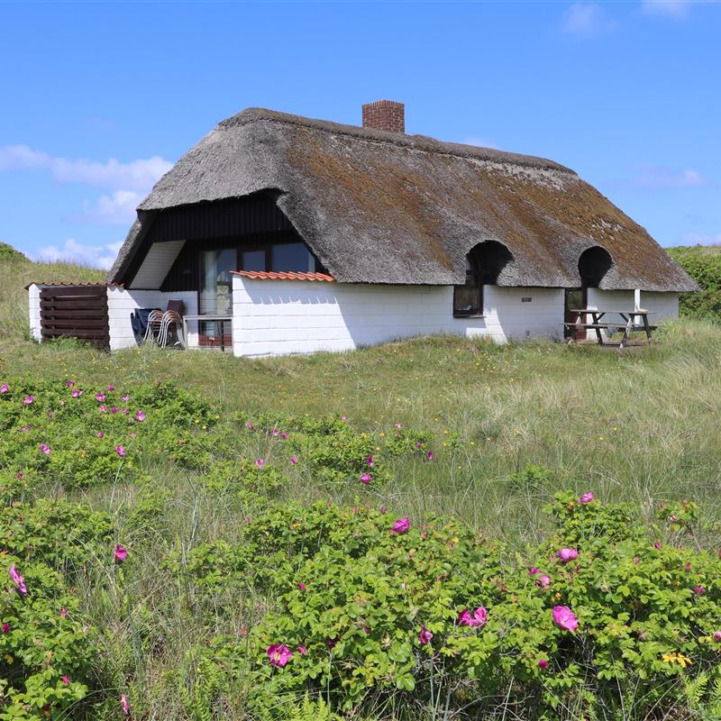 Sommerhus - 6 personer -  - Libravej - Vejlby Klit - 7673 - Harboøre