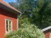 Bilde 12 - Ude