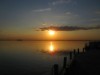Billede 30