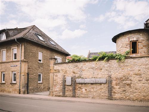 Holiday home - 10 persons -  - Gau-Oderheimer Straße - 55232 - Alzey-Schafhausen