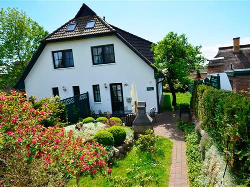 Holiday Home/Apartment - 8 persons -  - Boddenstraße 29 d - 18586 - Groß Zicker