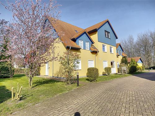 Holiday Home/Apartment - 4 persons -  - Friedenstraße - 18374 - Zingst