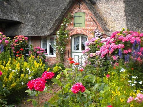 Ferienhaus - 2 Personen -  - Dorfstraße - 25826 - St. Peter-Ording