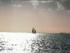 Billede 24