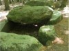 Bild 31