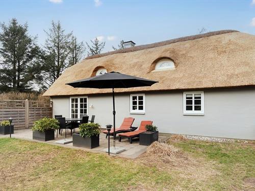 Sommerhus - 6 personer -  - Grævlingevej - Vester Husby - 6990 - Ulfborg