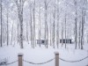 Bild 21 - Inde
