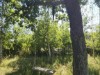 Bild 33 - Ude