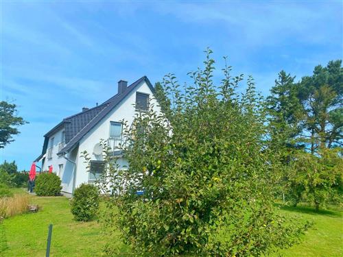 Holiday Home/Apartment - 8 persons -  - Am Hochzeitsberg - 18556 - Breege