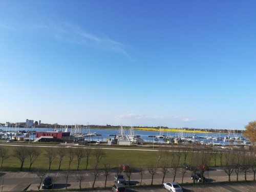 Ferieleilighet - 2 personer -  - Stranddistelweg App. - 23769 - Fehmarn