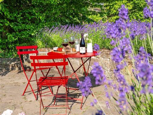 Ferienwohnung - 3 Personen -  - Alter Viehberg - 67434 - Neustadt A.D.W.