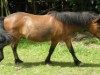 Bild 28