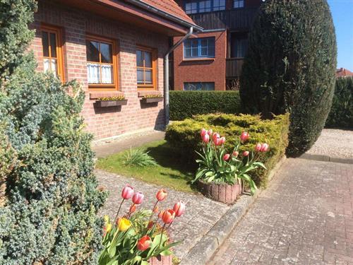 Holiday Home/Apartment - 5 persons -  - An der Aue - 23747 - Dahme