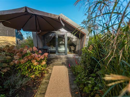 Sommerhus - 2 personer -  - Veneweg - 7946LX - Wanneperveen