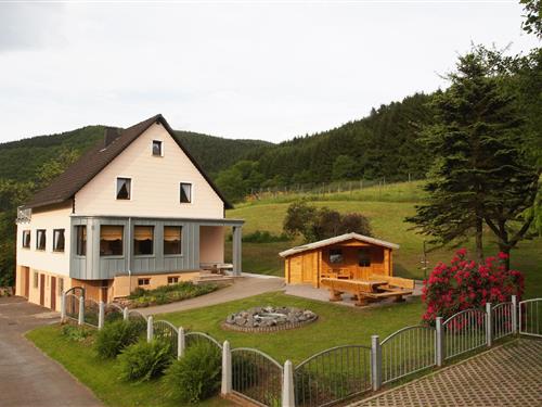 Holiday Home/Apartment - 12 persons -  - Im Lierchesseifen - 54574 - Birresborn