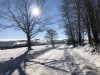 Billede 37 - Område