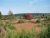 Bild 17