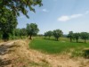 Billede 9