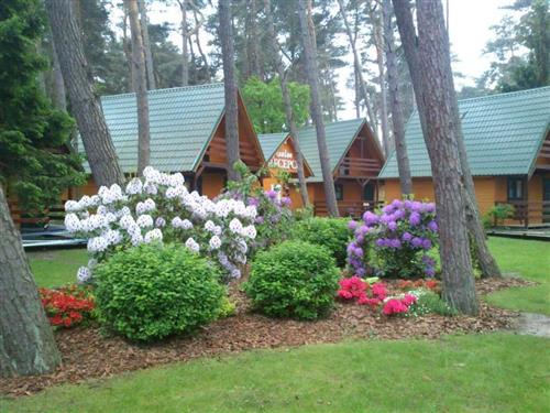 Holiday Home/Apartment - 4 persons -  - SWIERKOWA - 72-346 - Pobierowo