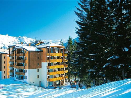 Ferielejlighed - 4 personer -  - 74440 - Morillon Les Esserts