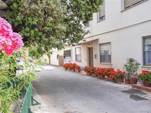 Feriehus / leilighet - 4 personer -  - Viale dei Pini - 56019 - Vecchiano