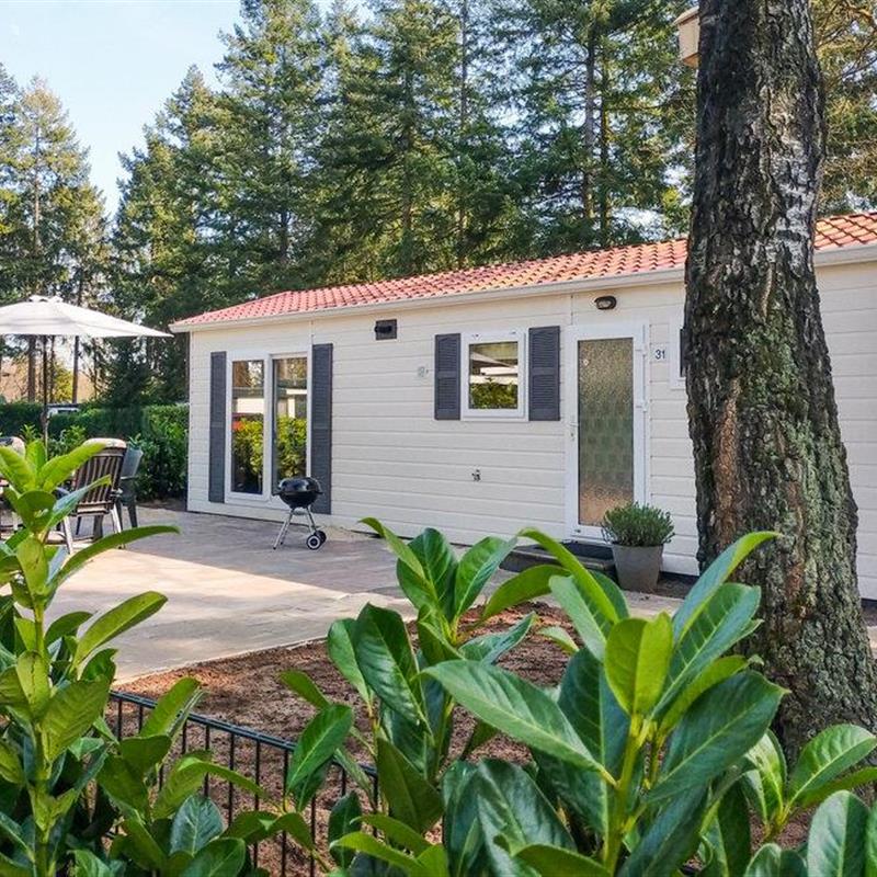 Sommerhus - 4 personer -  - Enzerinckweg 12 - - 7251 KA - Vorden