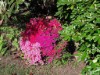 Image 27 - Outside