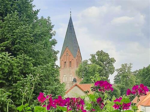 Ferielejlighed - 5 personer -  - Lindenstraße - 17194 - Jabel