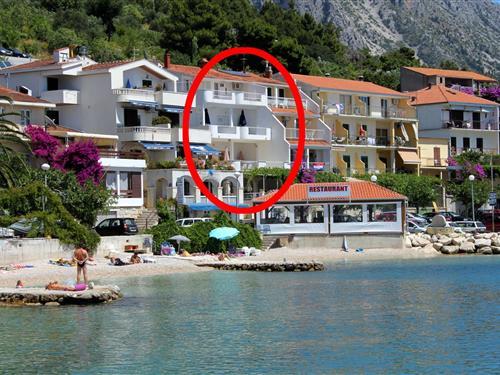 Feriehus / leilighet - 3 personer -  - Podgora - 21327 - Podgora