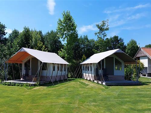 Glamping telt - 8 personer -  - 9286EV - Twijzel