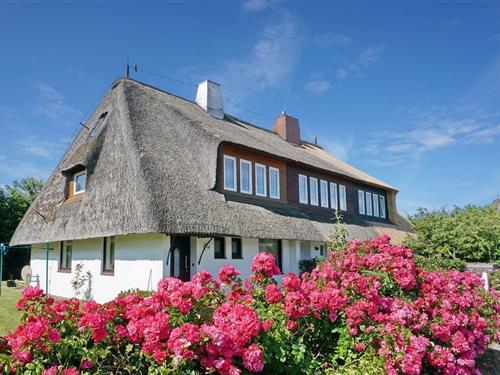 Ferienhaus - 6 Personen -  - Hingstwai - 25980 - Sylt / Ot Keitum