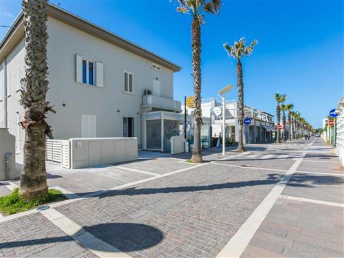 Ferienwohnung - 8 Personen -  - Cecina - 57023