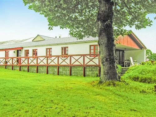 Ferienhaus - 5 Personen -  - Birknæsvej - 8752 - Östbirk