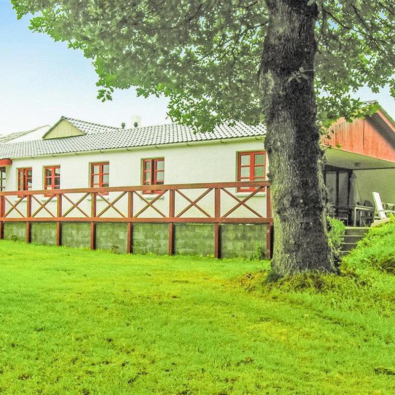 Ferienhaus - 5 Personen -  - Birknæsvej - 8752 - Östbirk