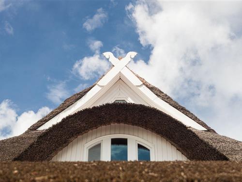 Ferielejlighed - 2 personer -  - Am Strom - 18347 - Ostseebad Ahrenshoop