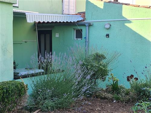 Semesterhus/Semesterlägenhet - 2 personer -  - Veli Lošinj - 51551 - Veli Lošinj