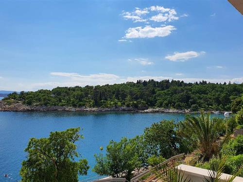 Ferielejlighed - 2 personer -  - Kacjak - Crikvenica-Dramalj - 51265 - Dramalj