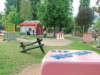 Image 13