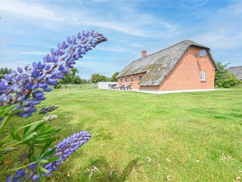 Sommerhus - 6 personer -  - Hummelmosevej - Vedersø Klit - 6990 - Ulfborg