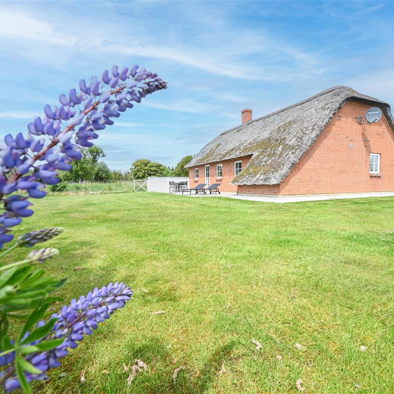 Sommerhus - 6 personer -  - Hummelmosevej - Vedersø Klit - 6990 - Ulfborg