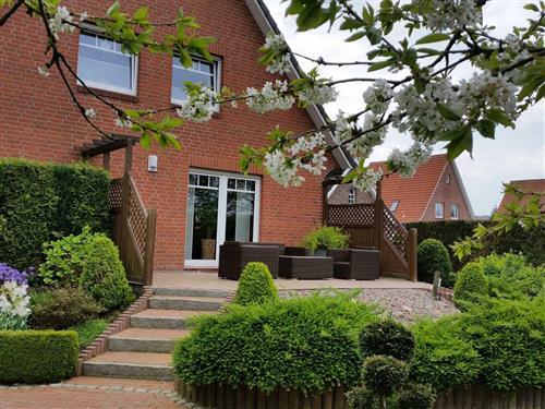 Ferielejlighed - 2 personer -  - Schulteweg - 21641 - Apensen