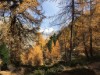 Bild 30 - Ude
