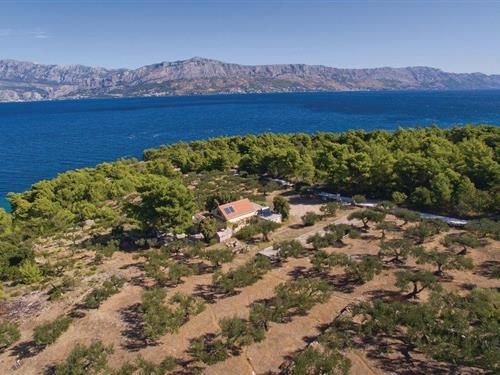 Sommerhus - 6 personer -  - Ducac - Brac-Postira - 21410 - Postira