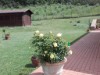 Image 12 - Outside